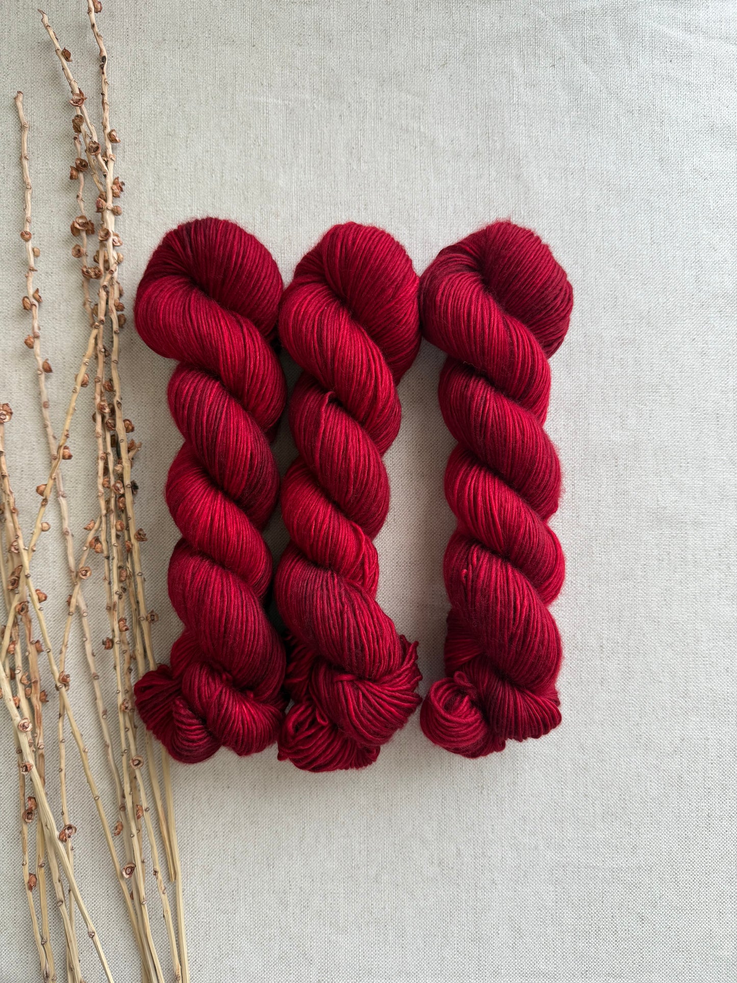Poinsettia 100% SW Merino DK