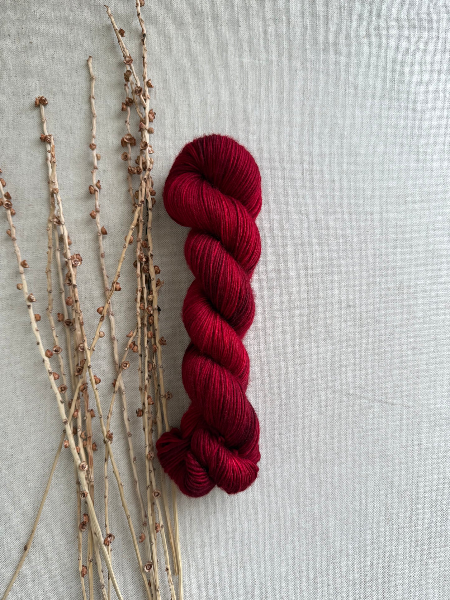Poinsettia 100% SW Merino DK