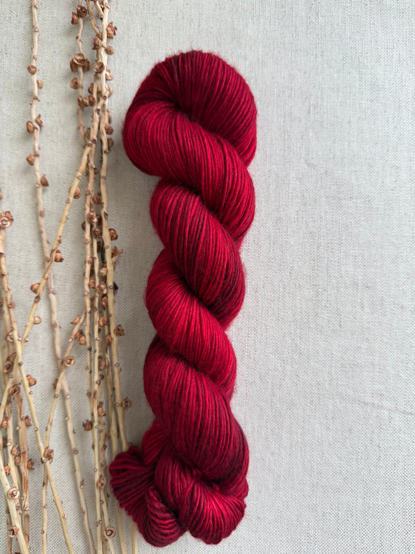Poinsettia 100% SW Merino DK