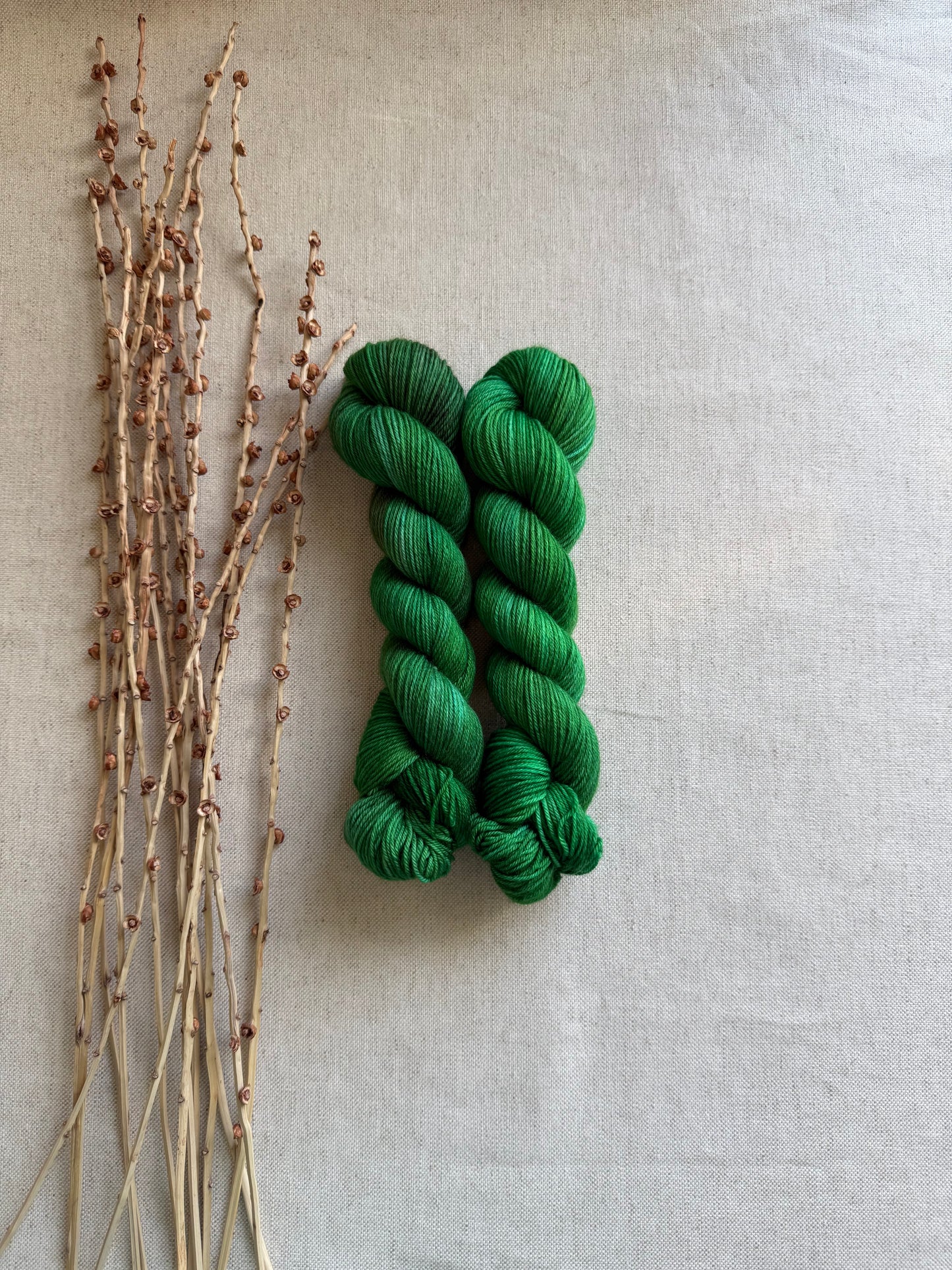Green Bean SW Merino Nylon 50g Skein