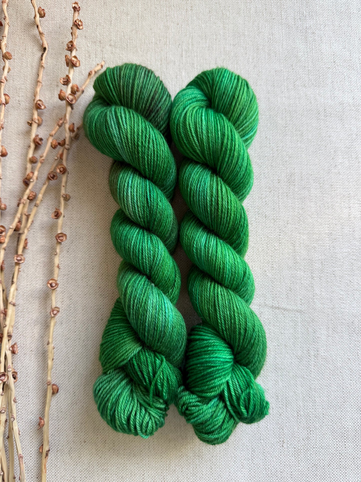 Green Bean SW Merino Nylon 50g Skein