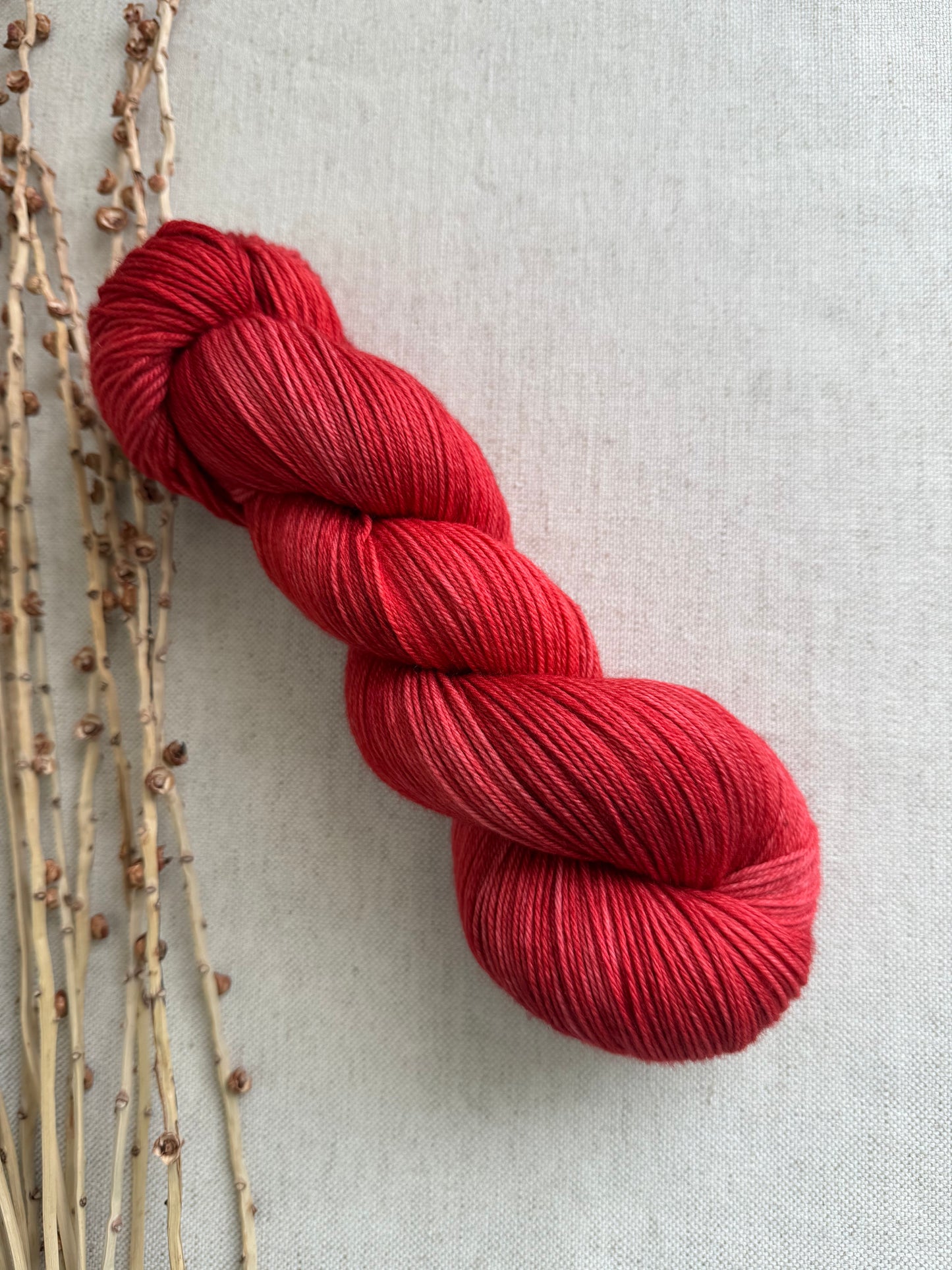 Chili Powder SW Merino Nylon Yarn
