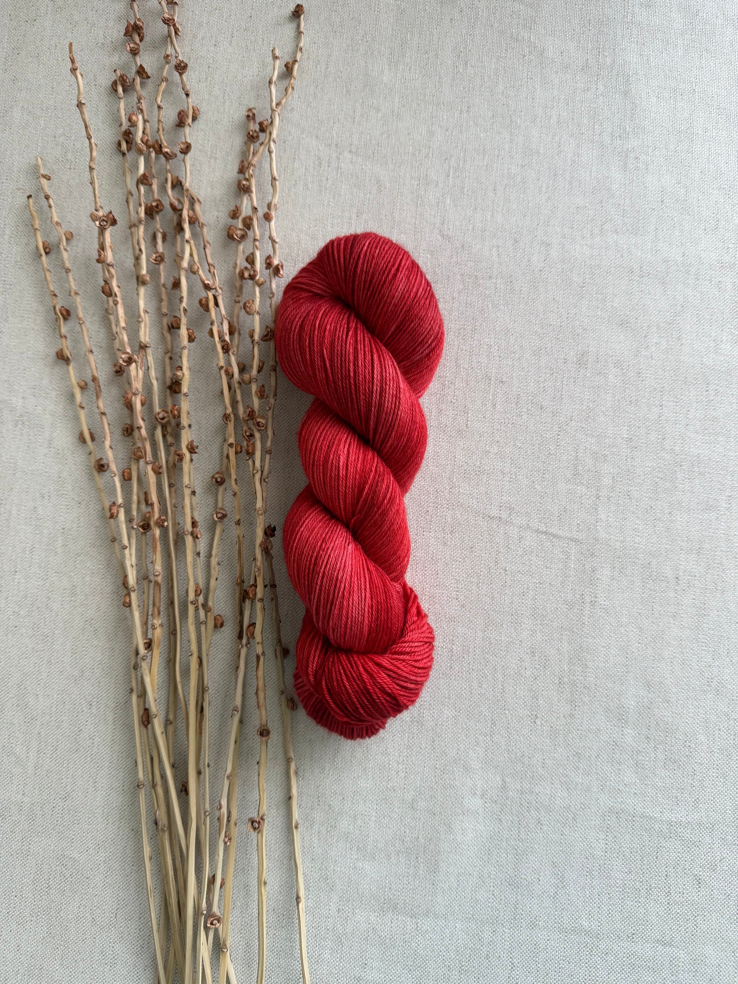 Chili Powder SW Merino Nylon Yarn