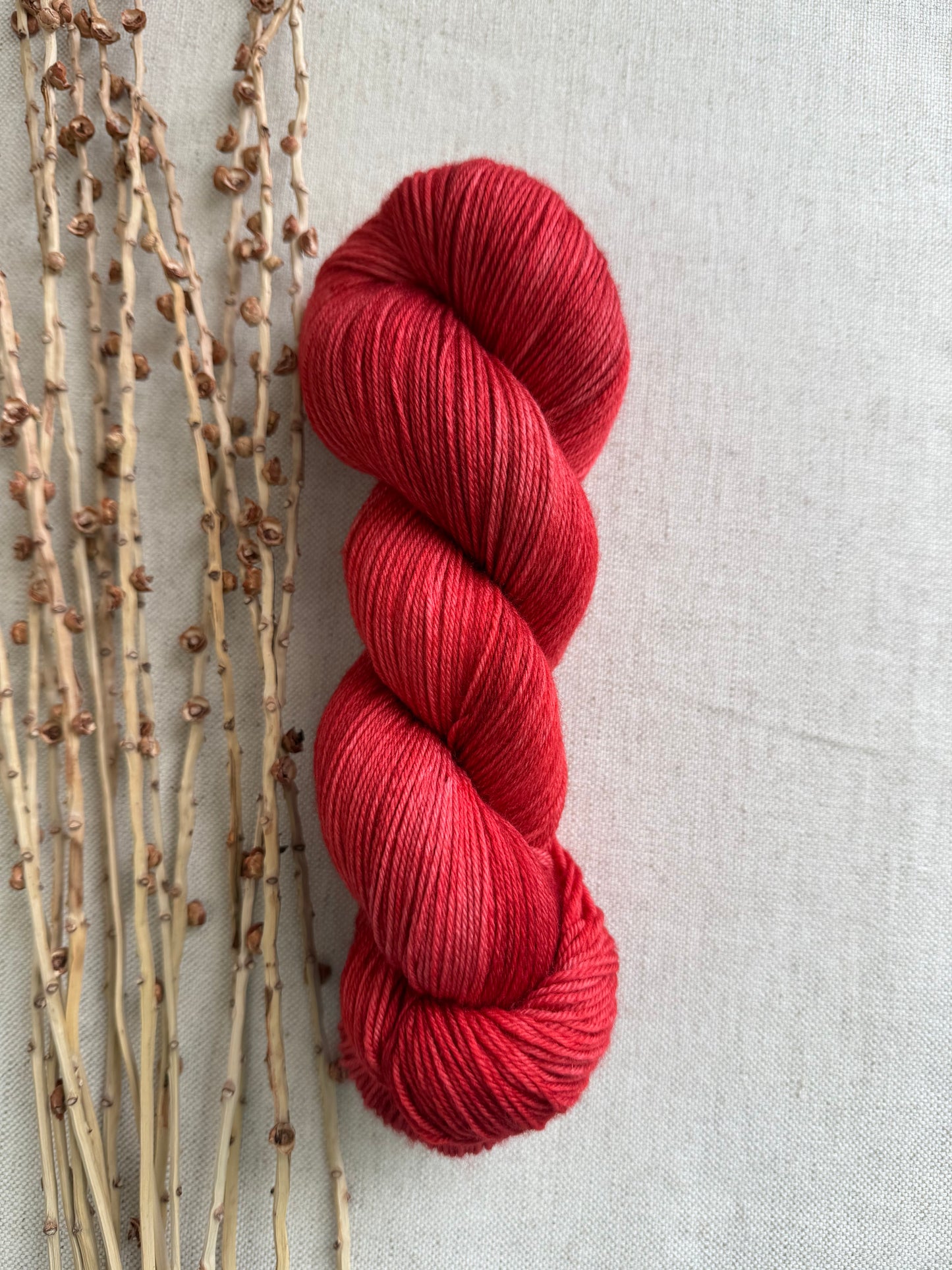 Chili Powder SW Merino Nylon Yarn