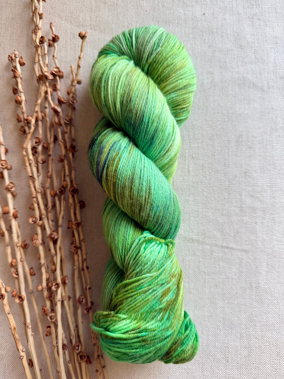 Lucky Shamrock - Sturdy Sock 100g