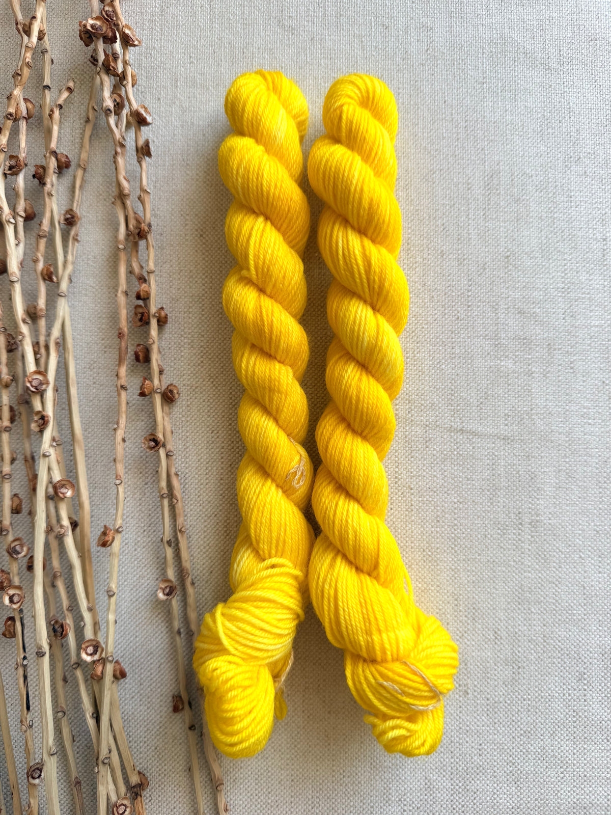 Sun Yellow - Sturdy Sock 20g