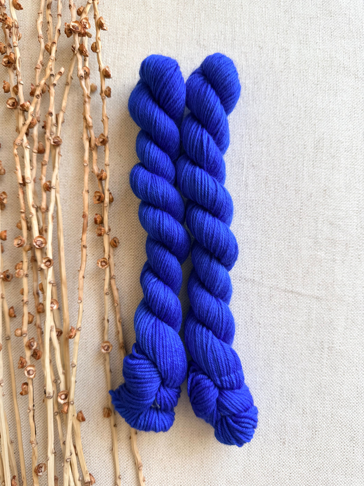 Royal - Sturdy Sock 20g