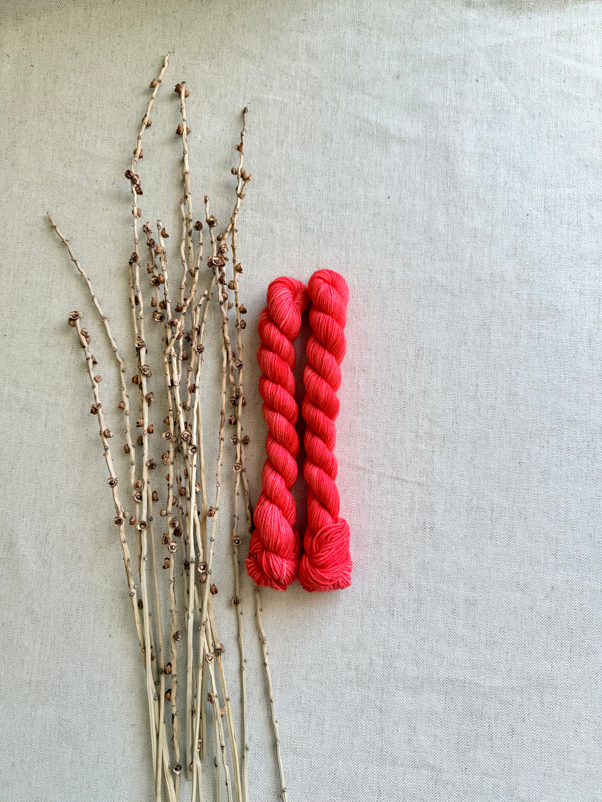 Salmon - Sturdy Sock 20g