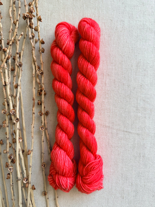 Salmon - Sturdy Sock 20g