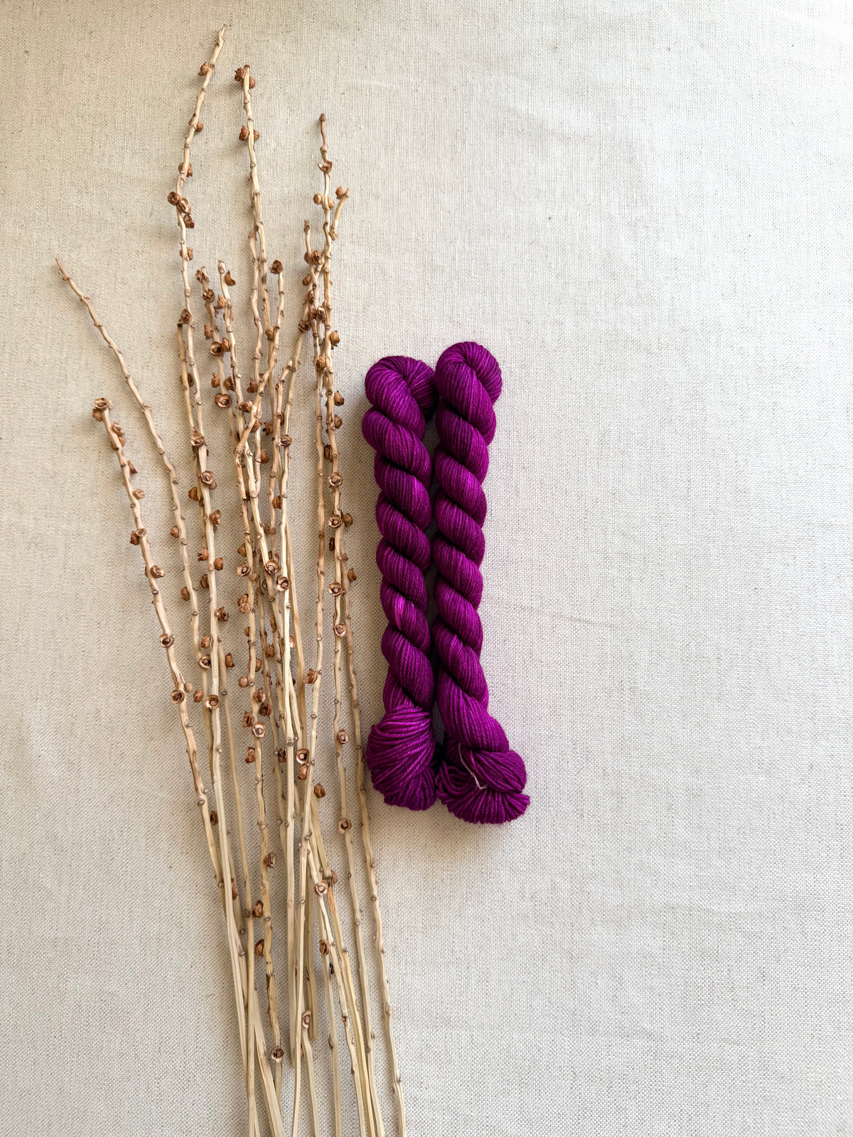 Berries - Sturdy Sock 20g