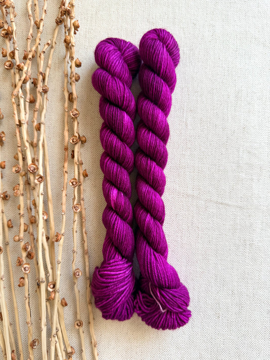 Berries - Sturdy Sock 20g
