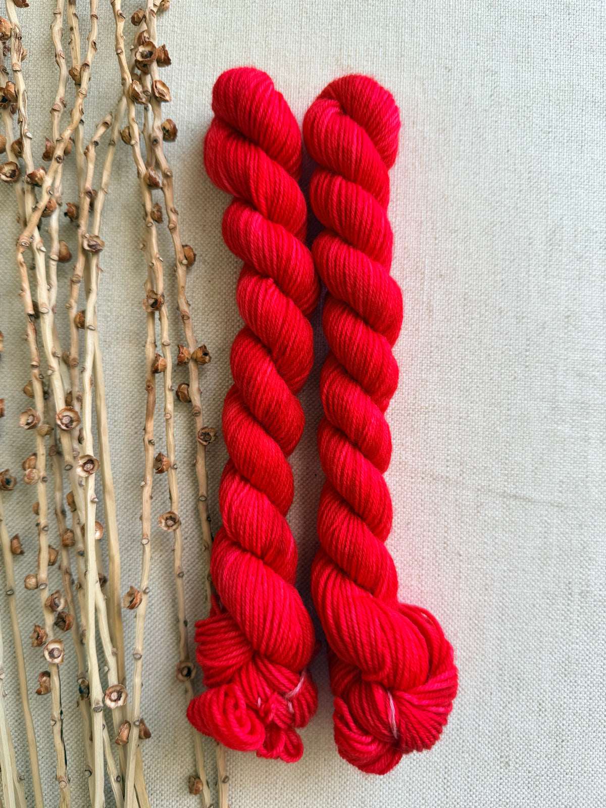 Lollipop - Sturdy Sock 20g
