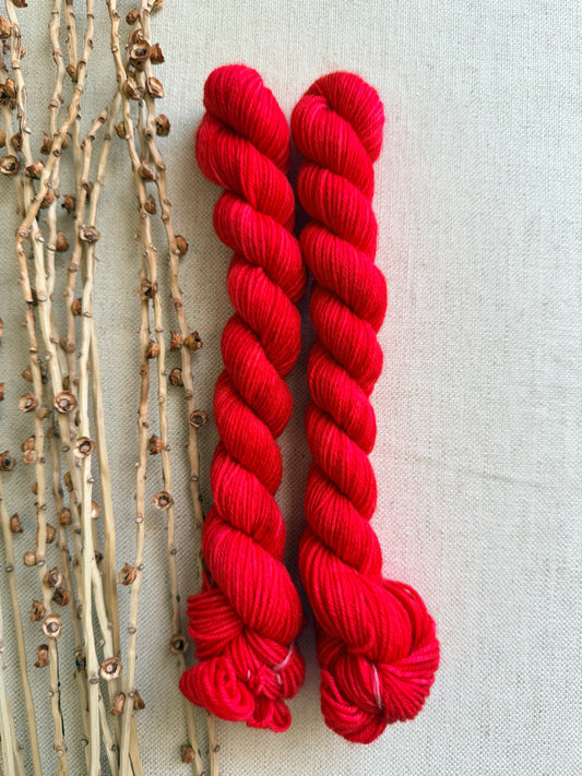 Lollipop - Sturdy Sock 20g