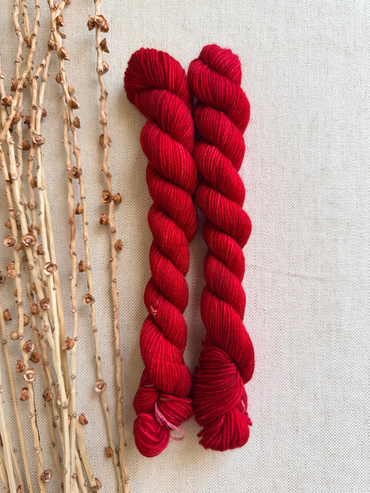 Poinsettia - Sturdy Sock 20g