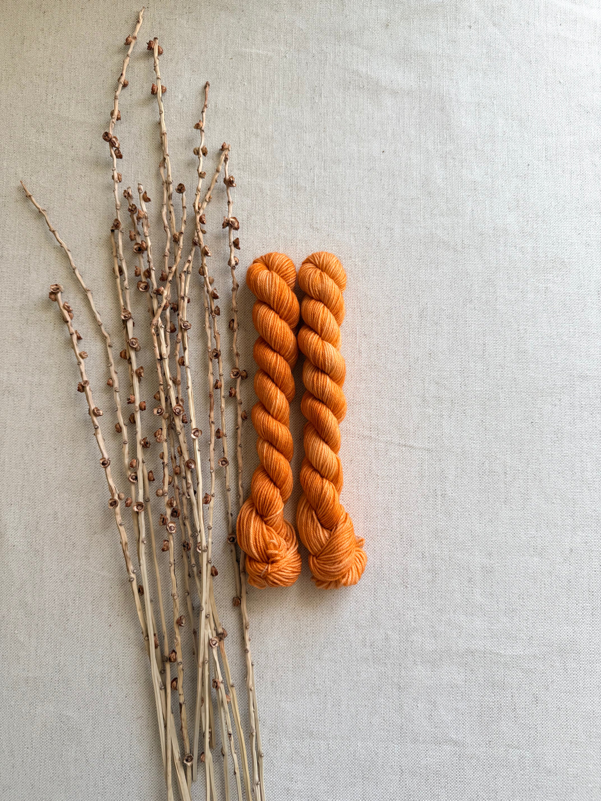 Light Spiced Pumpkin - Sturdy Sock 20g