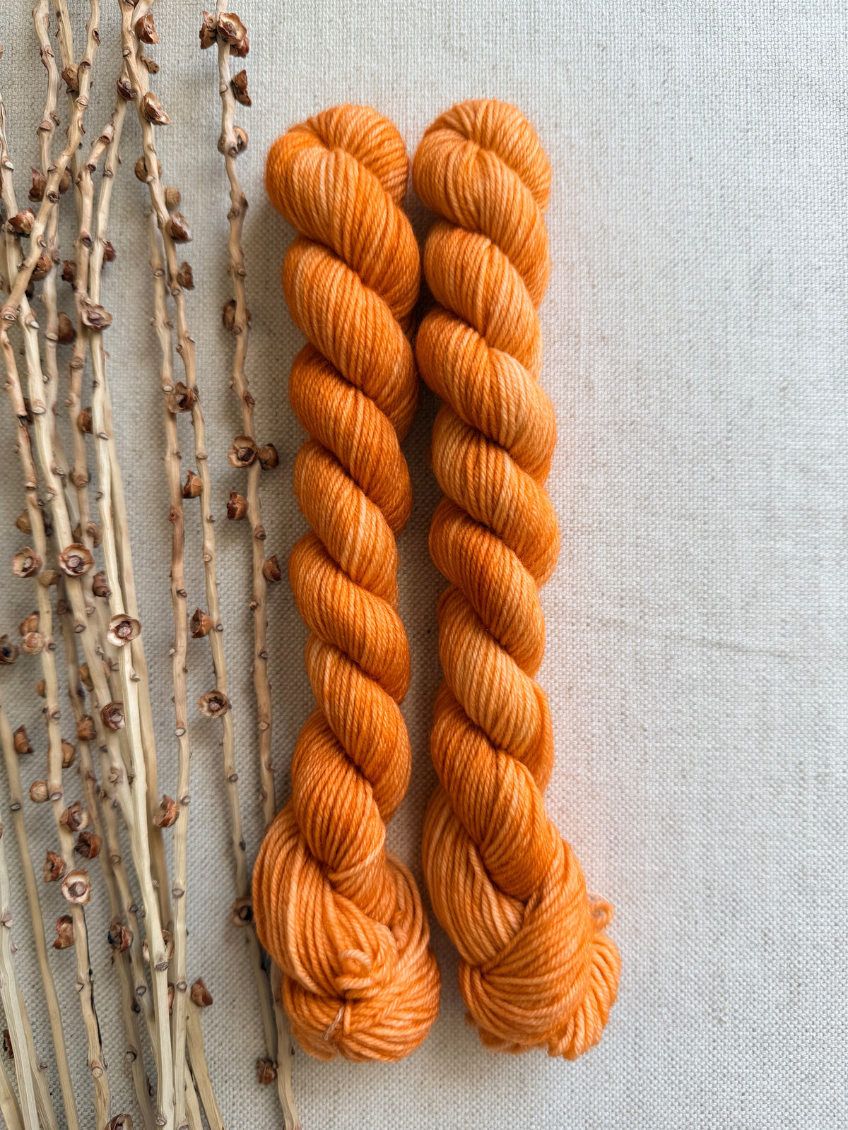 Light Spiced Pumpkin - Sturdy Sock 20g