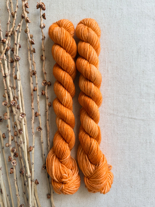 Light Spiced Pumpkin - Sturdy Sock 20g