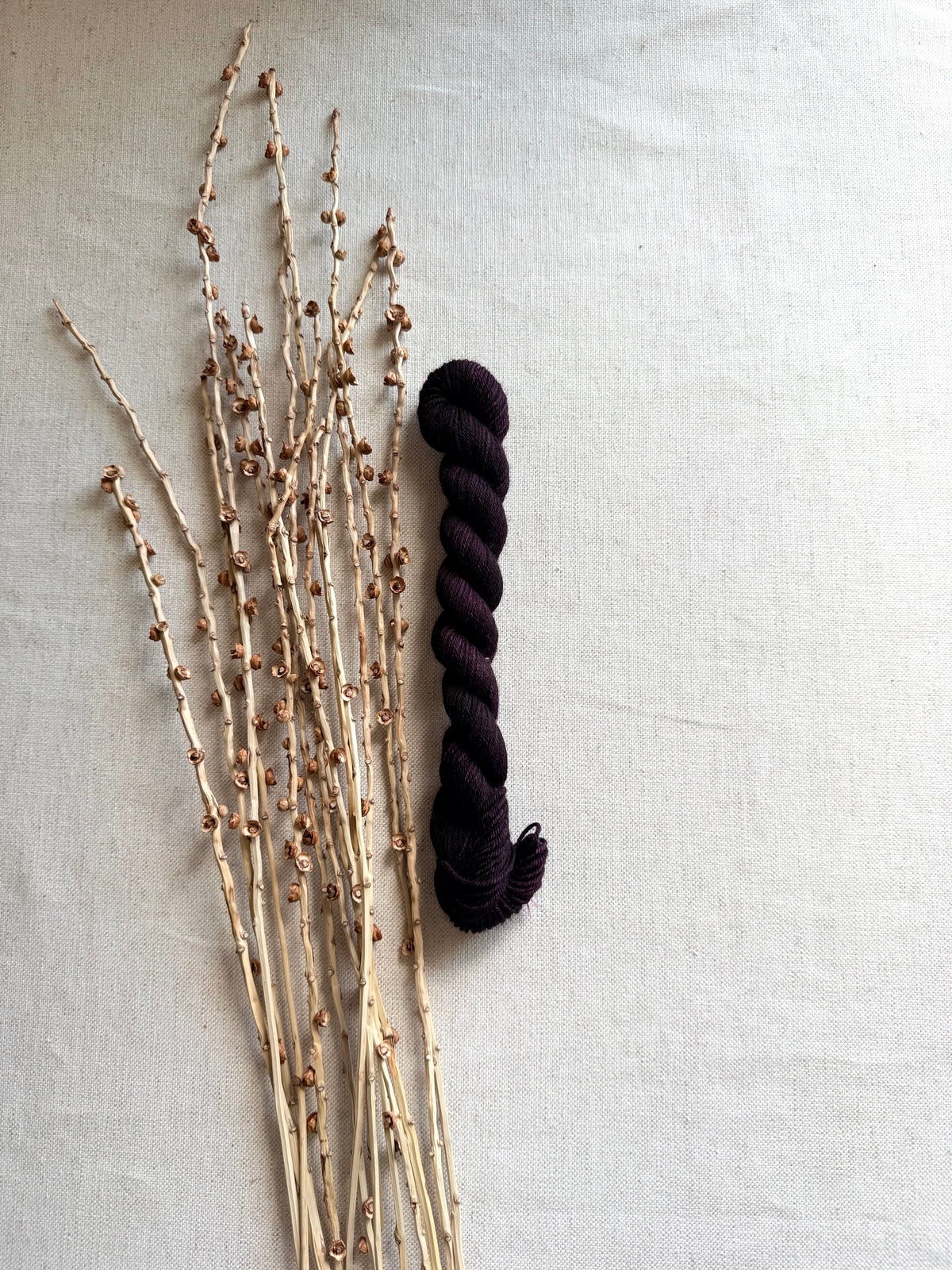 Aubergine - Sturdy Sock 20g