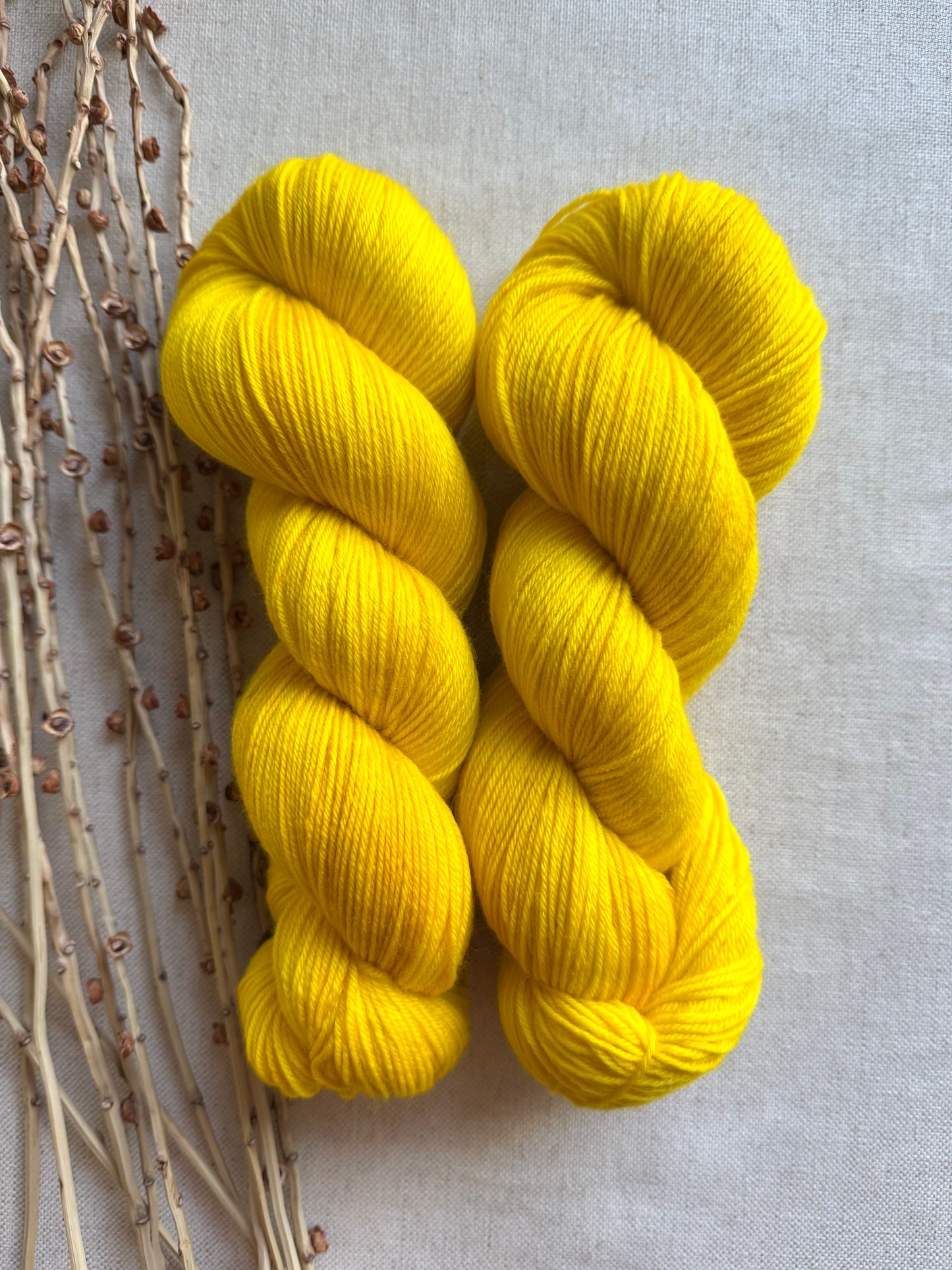 Sunny Yellow SW Merino Nylon 100g Skein