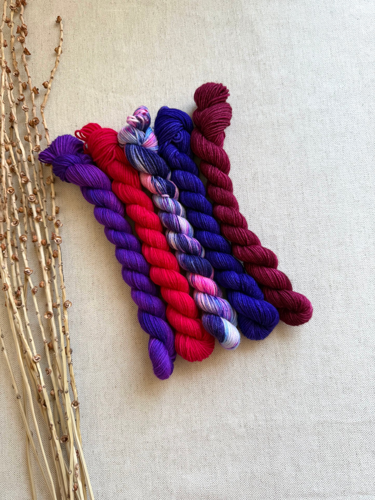 Grape Squeeze - SW Merino Nylon Mini Skein Set