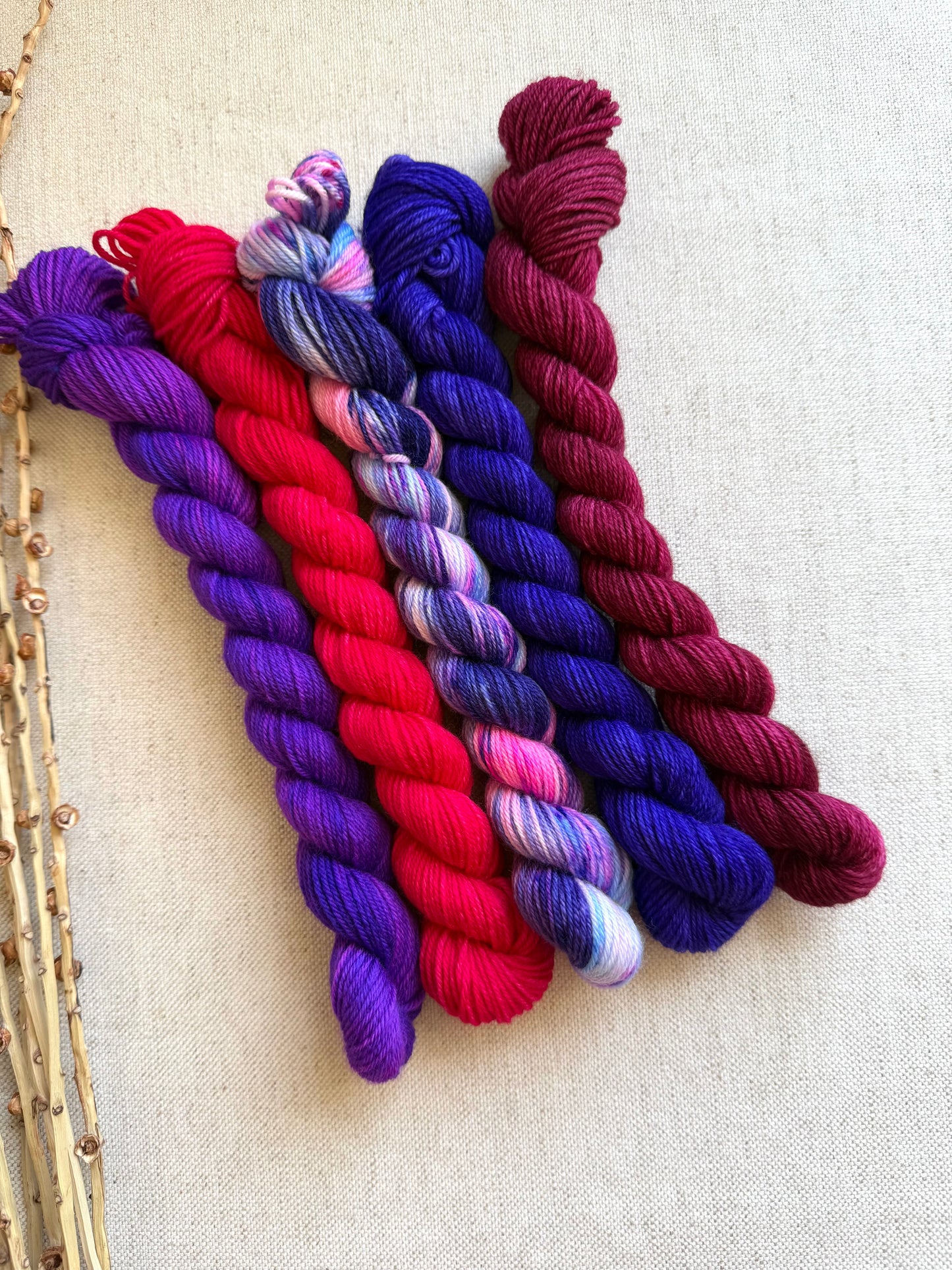 Grape Squeeze - SW Merino Nylon Mini Skein Set