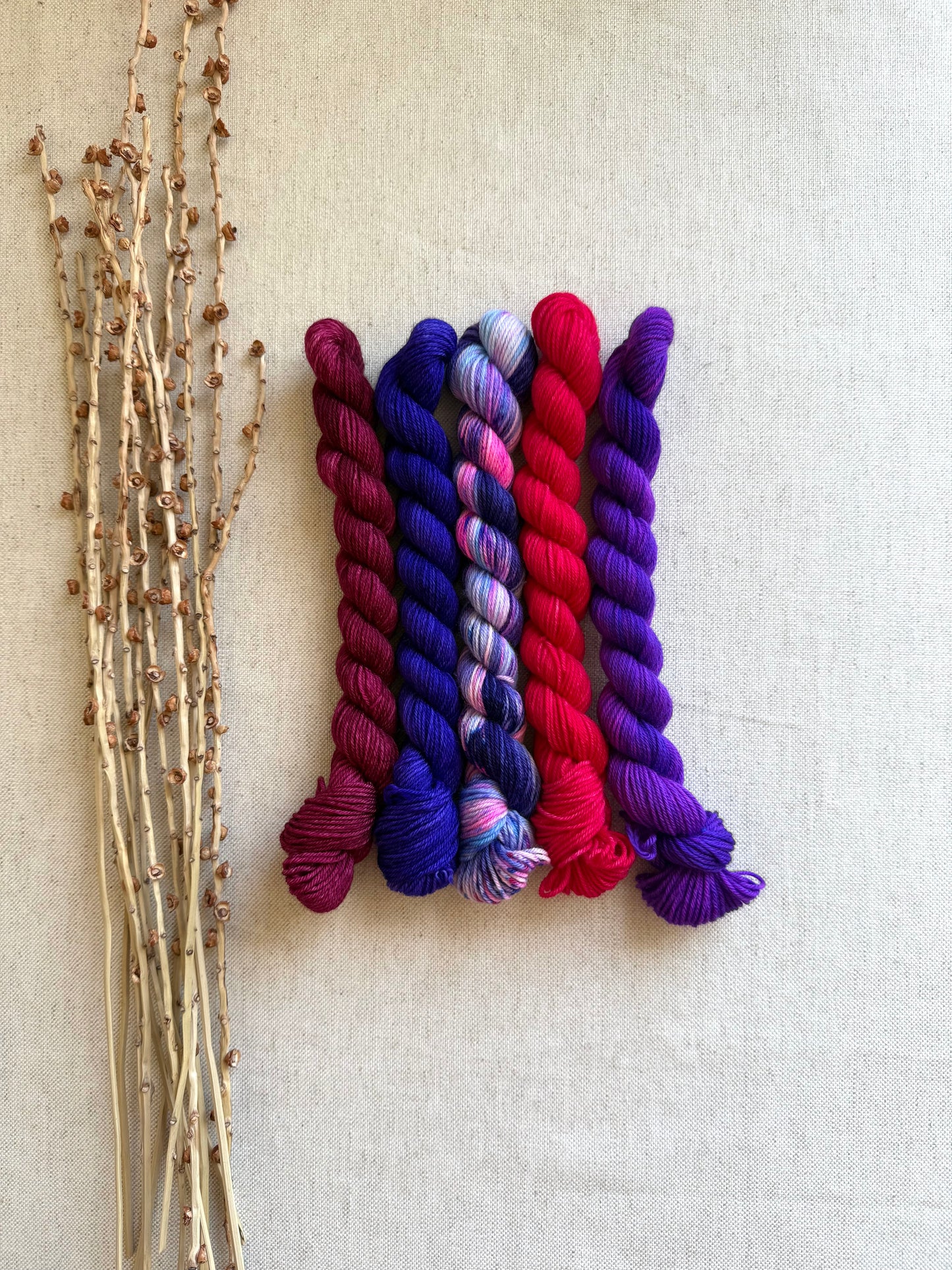 Grape Squeeze - SW Merino Nylon Mini Skein Set
