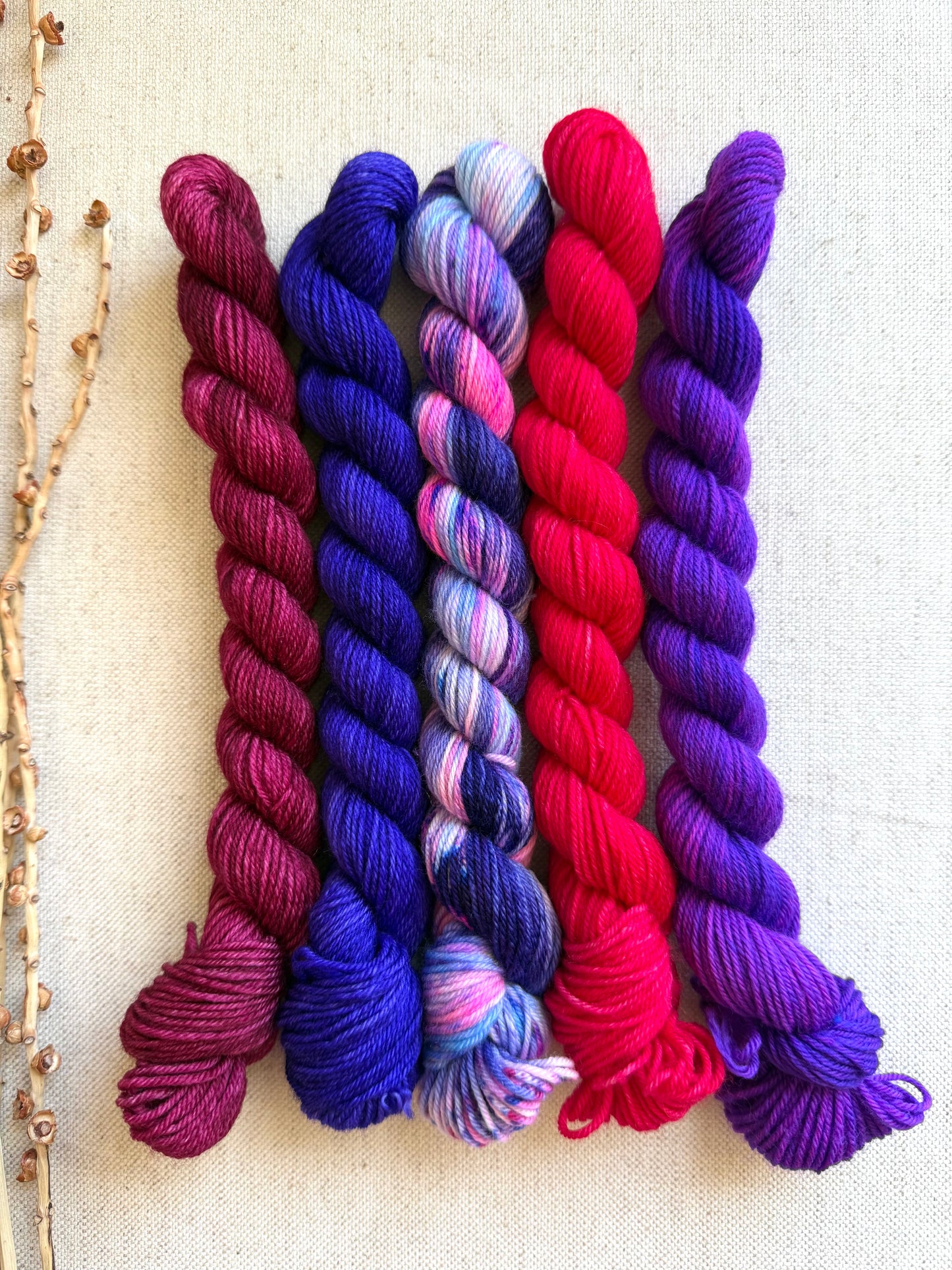 Grape Squeeze - SW Merino Nylon Mini Skein Set