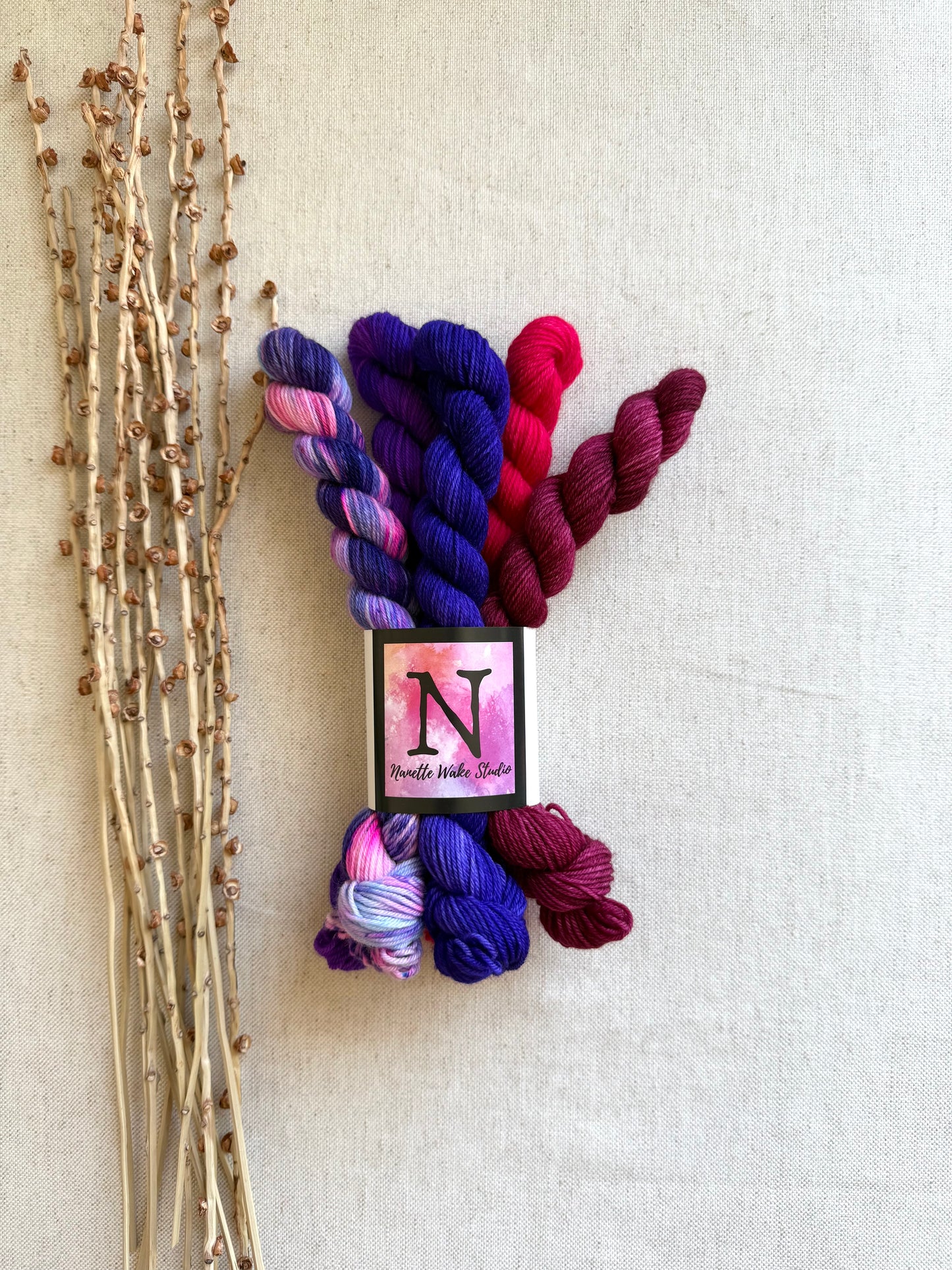 Grape Squeeze - SW Merino Nylon Mini Skein Set