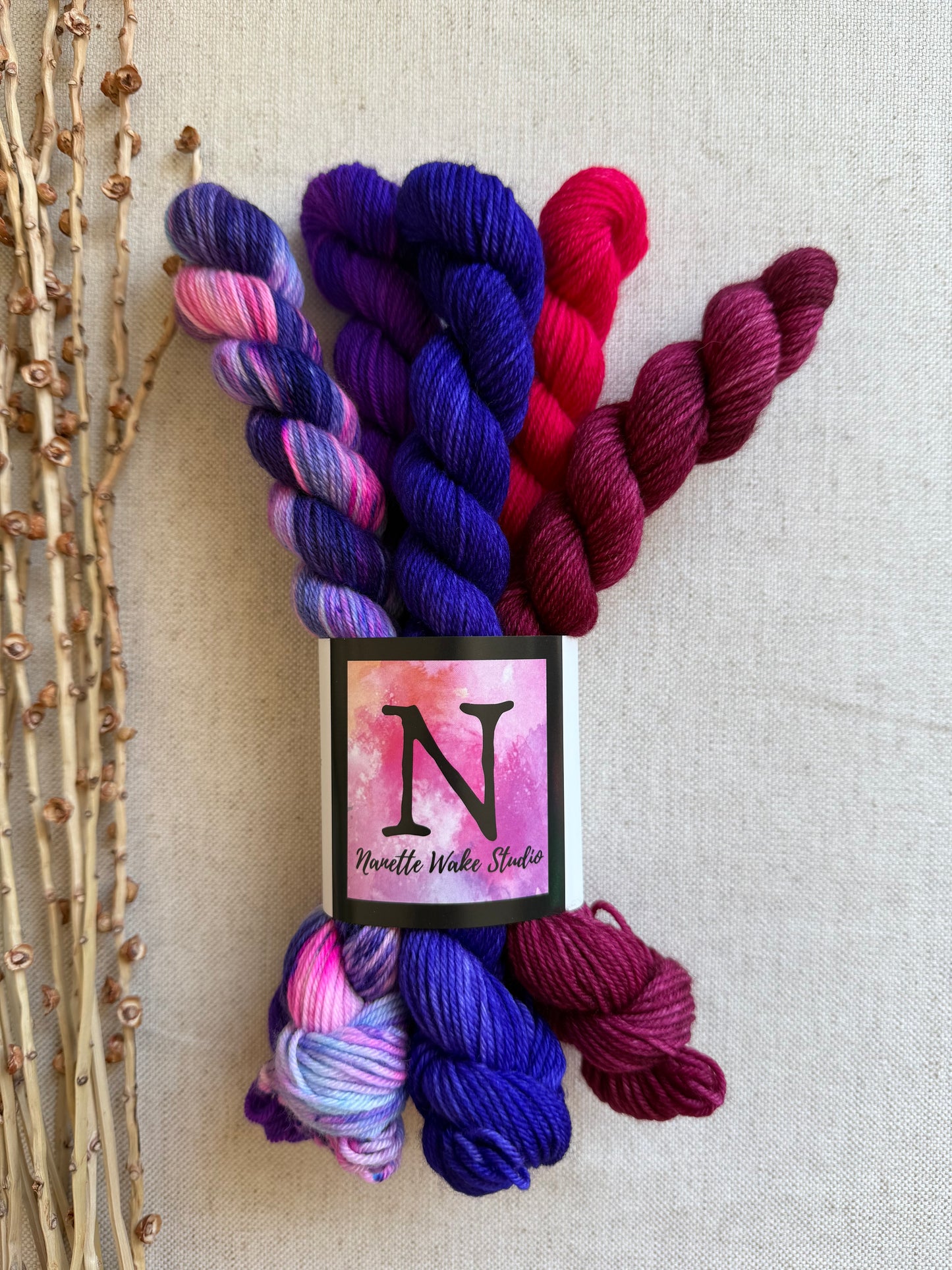 Grape Squeeze - SW Merino Nylon Mini Skein Set