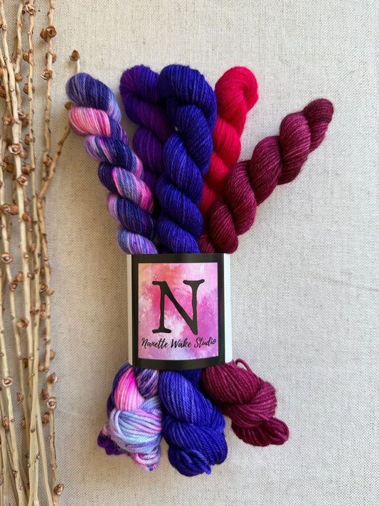 Grape Squeeze - SW Merino Nylon Mini Skein Set