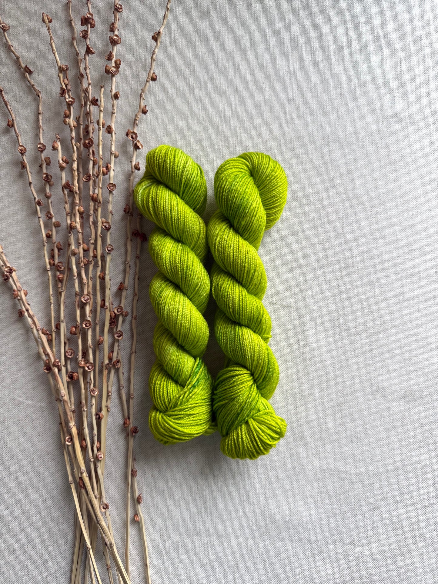 Eeriedescent 50g Skein