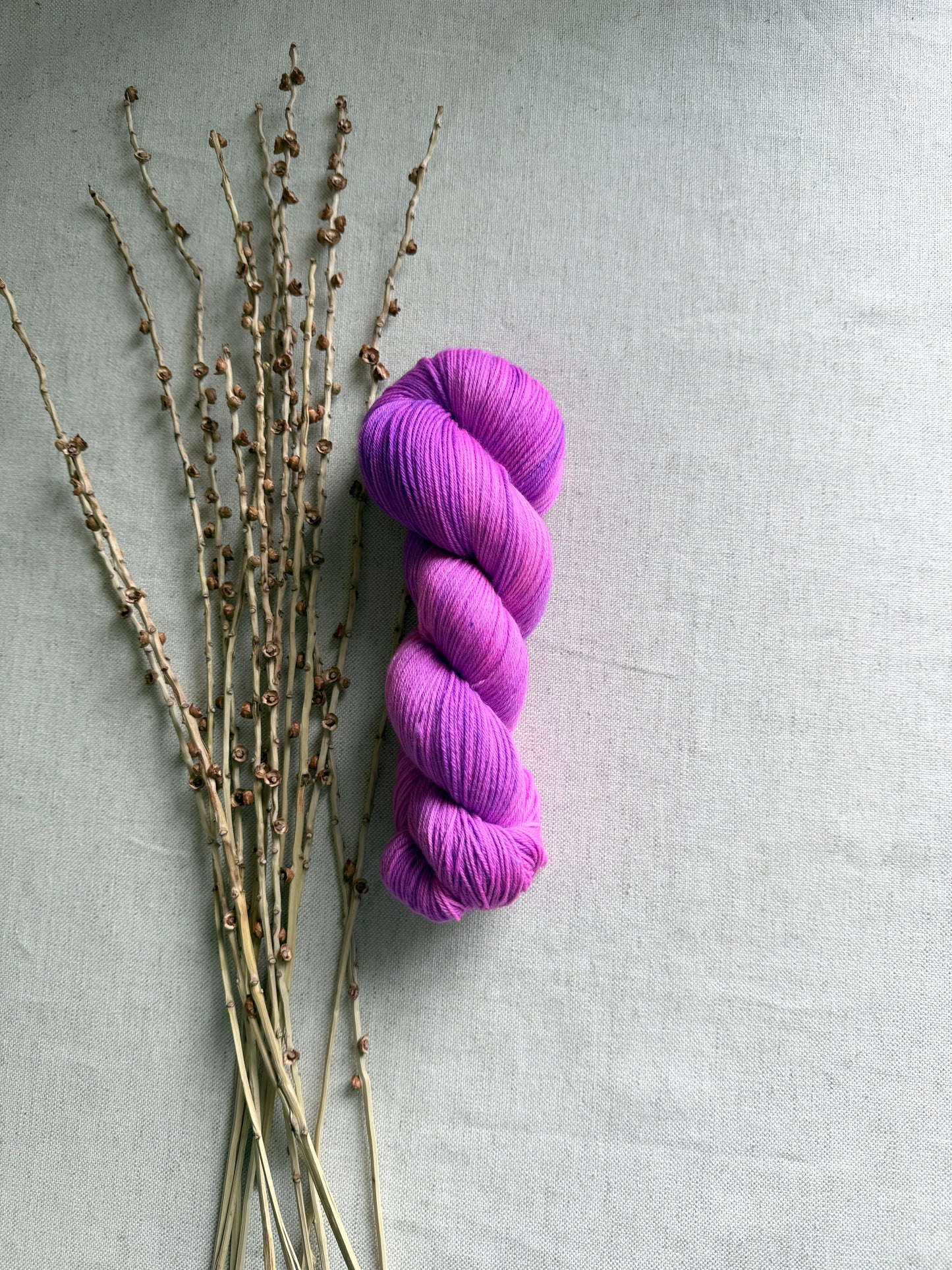 Light Pop! SW Merino Nylon 100g Skein