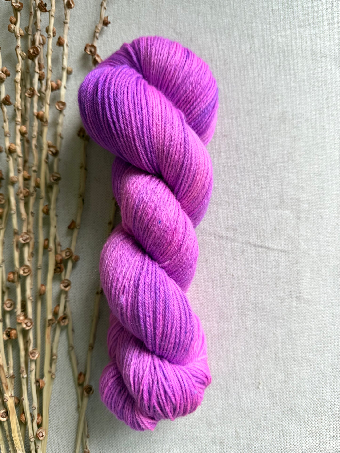 Light Pop! SW Merino Nylon 100g Skein