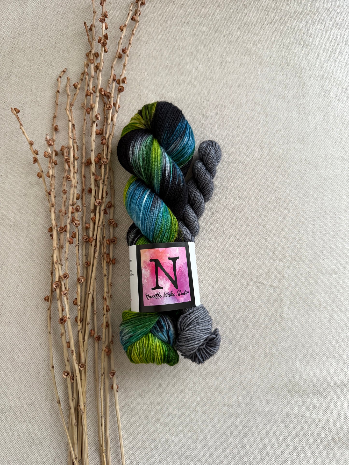 Dolphin Dance Sock Set