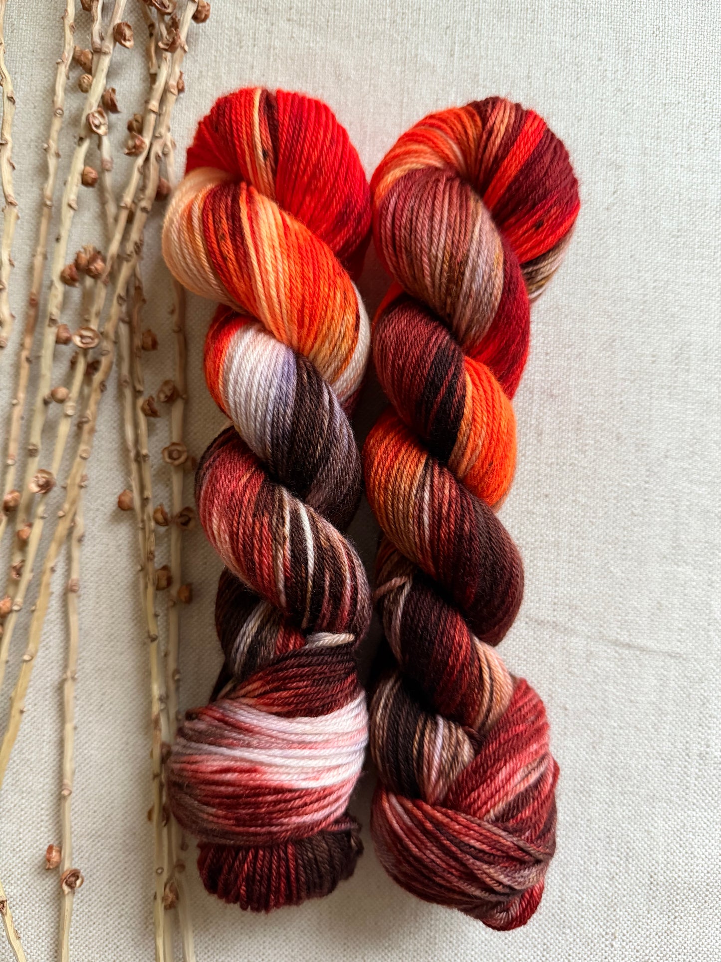 Turkey Feathers SW Merino Nylon 50g Skein