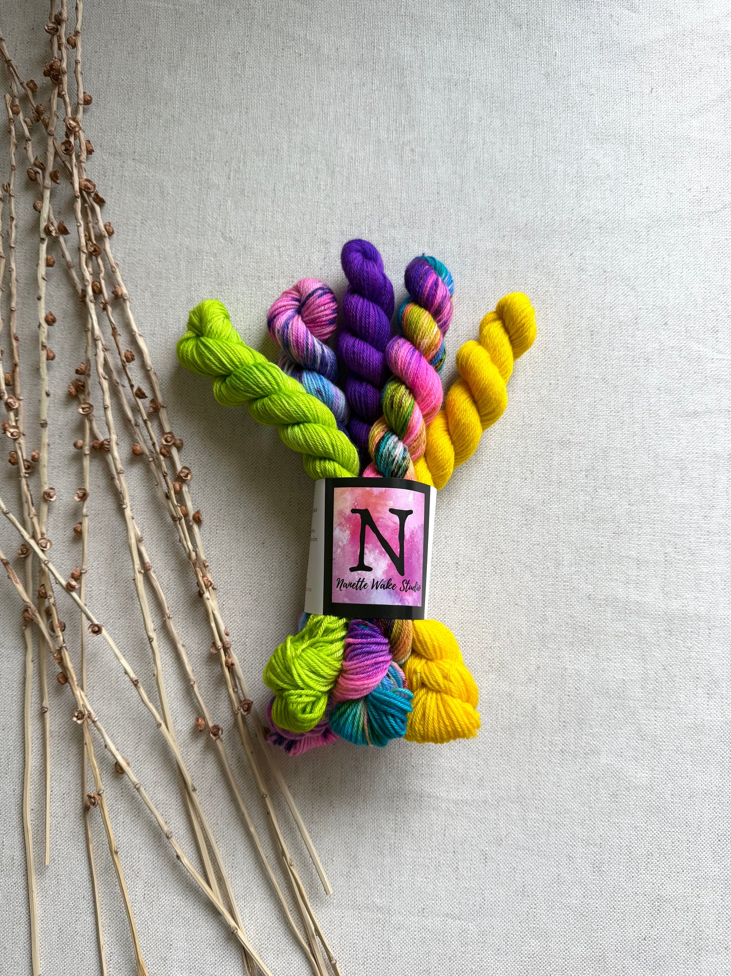 Cornucopious - SW Merino Nylon Mini Skein Set