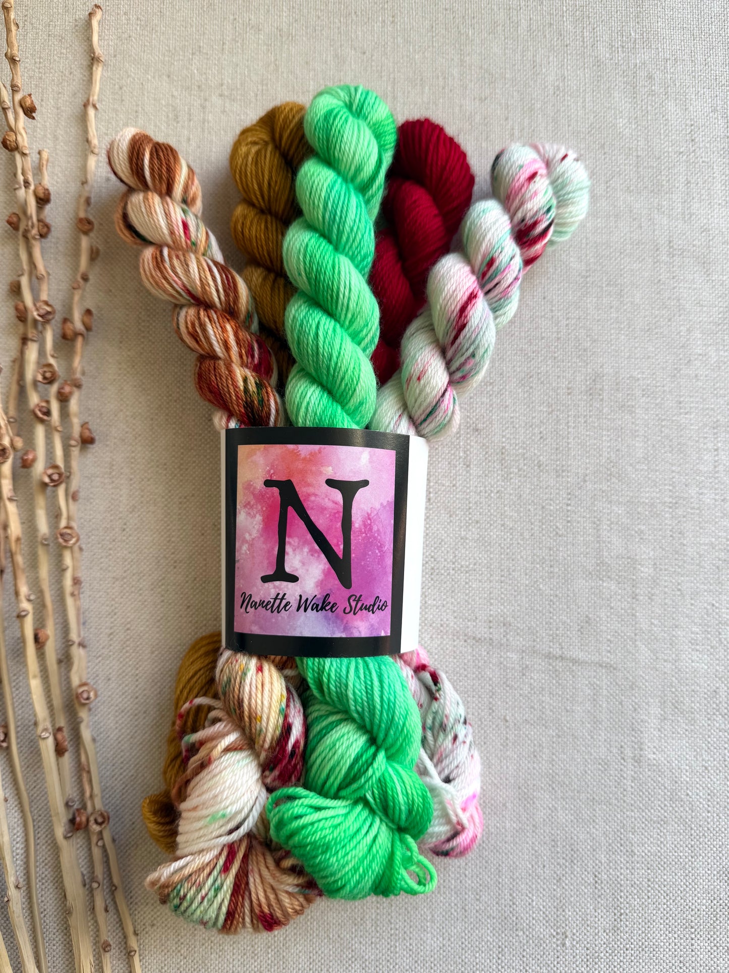 Peppermint Lane - SW Merino Nylon Mini Skein Set