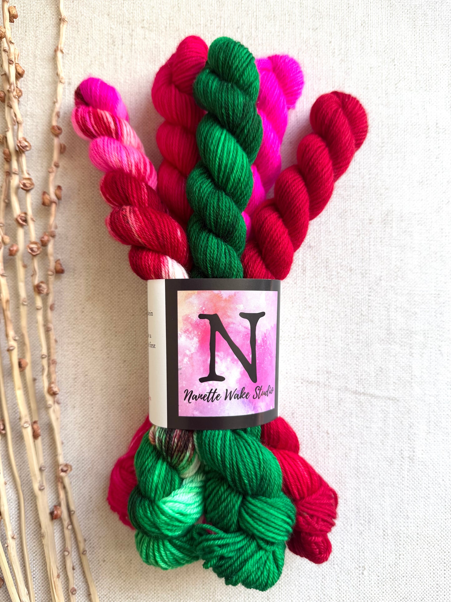 Christmas In Olympia - SW Merino Nylon Mini Skein Set