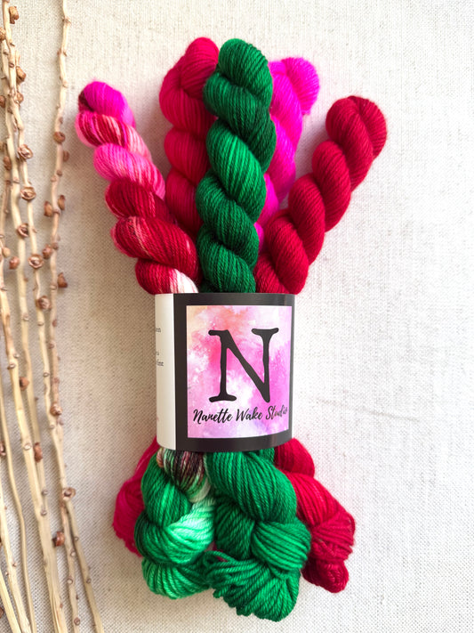 Christmas In Olympia - SW Merino Nylon Mini Skein Set