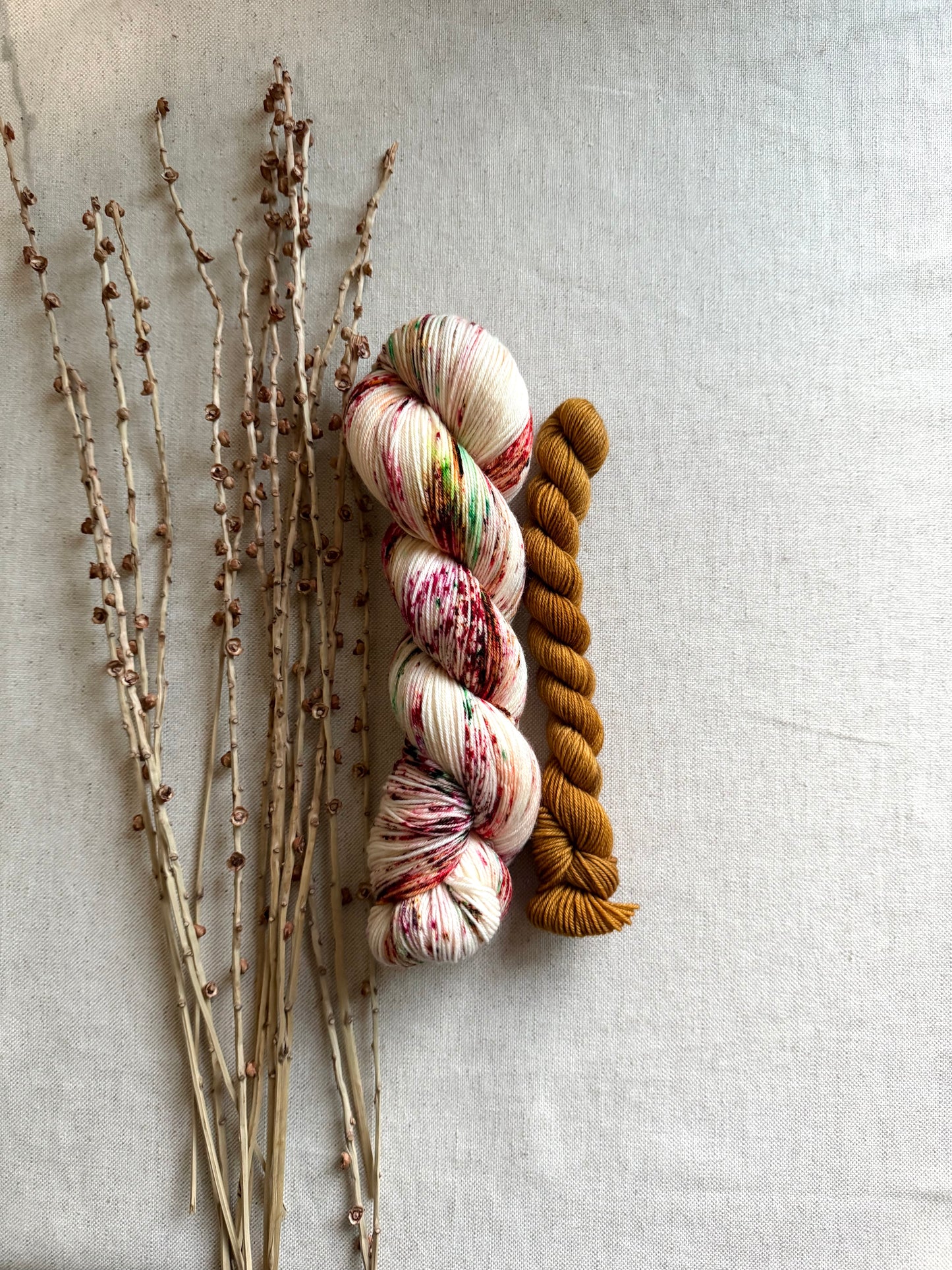 Candy Shoppe Sock Set