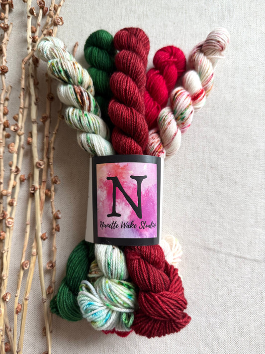 Candy Shoppe - SW Merino Nylon Mini Skein Set