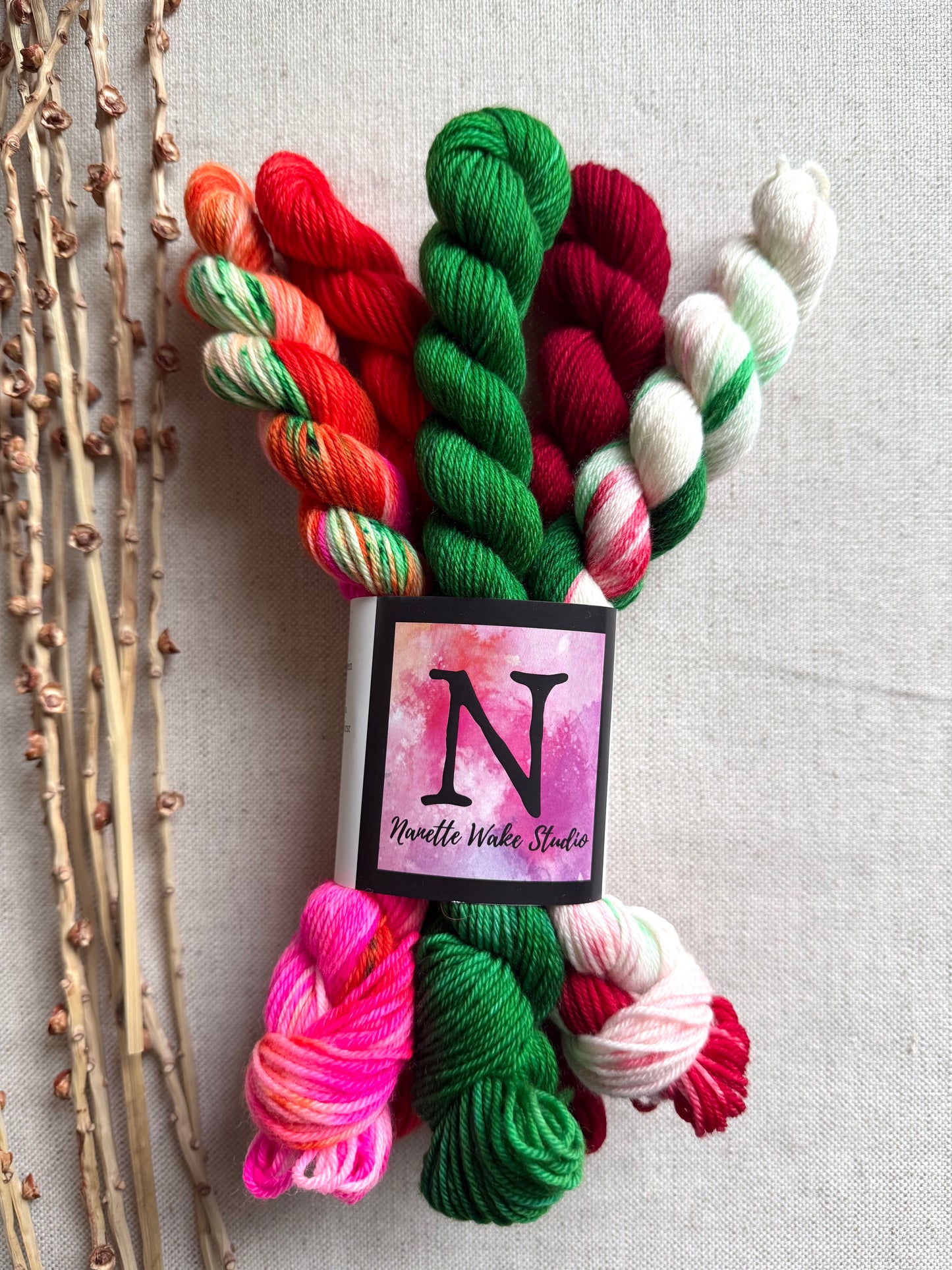 Holiday Lane - SW Merino Nylon Mini Skein Set