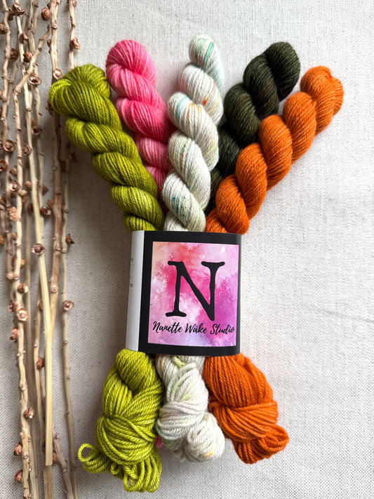 Dot Dot Dash - SW Merino Nylon Mini Skein Set