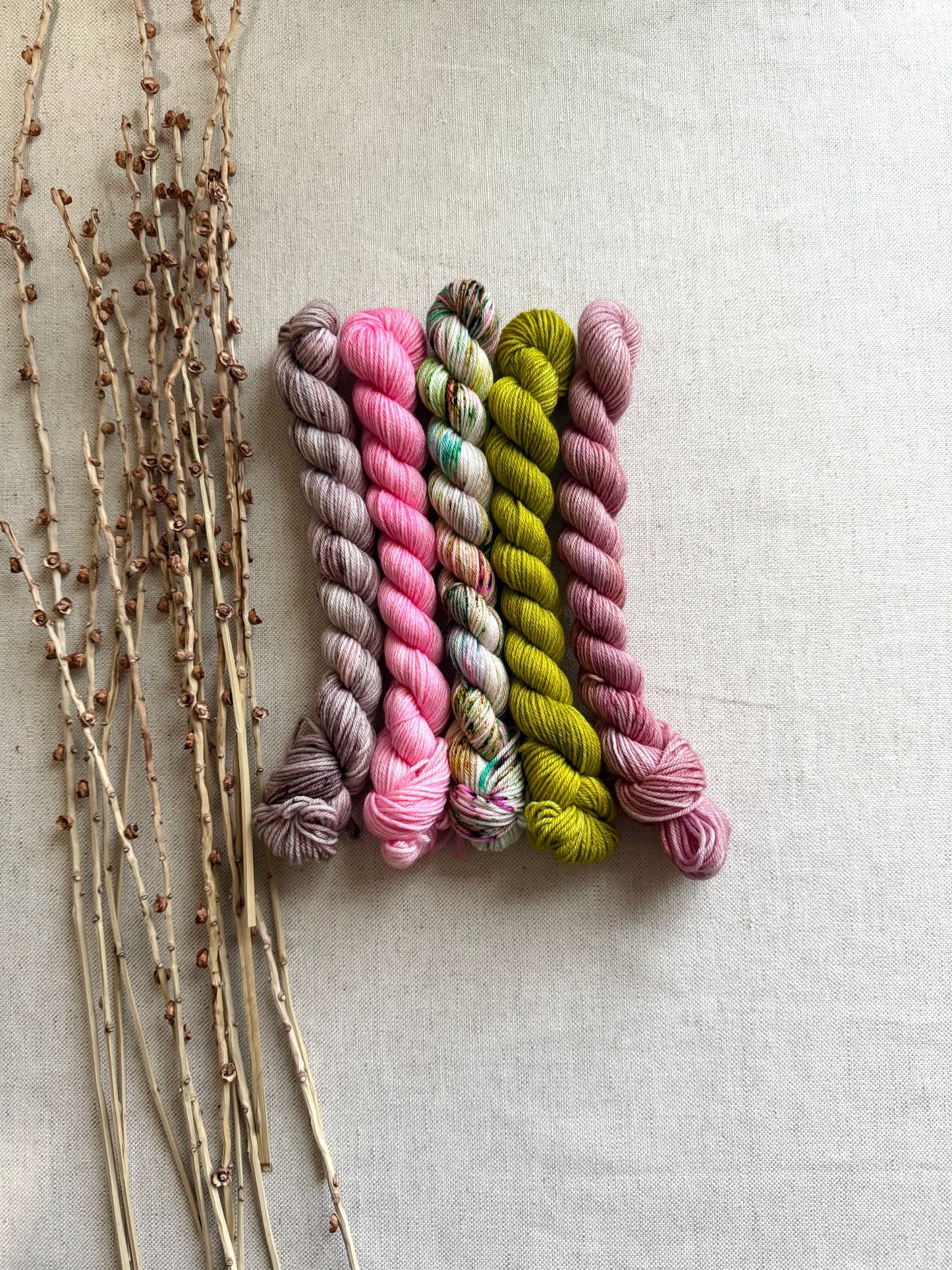 Princess Pea - SW Merino Nylon Mini Skein Set