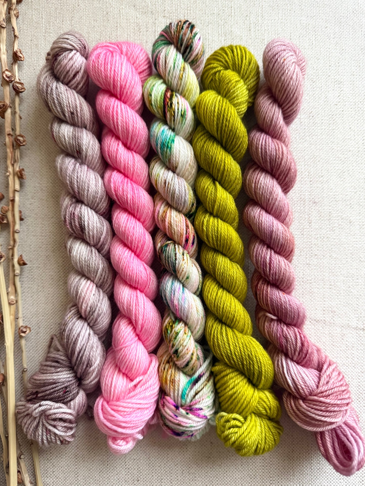 Princess Pea - SW Merino Nylon Mini Skein Set