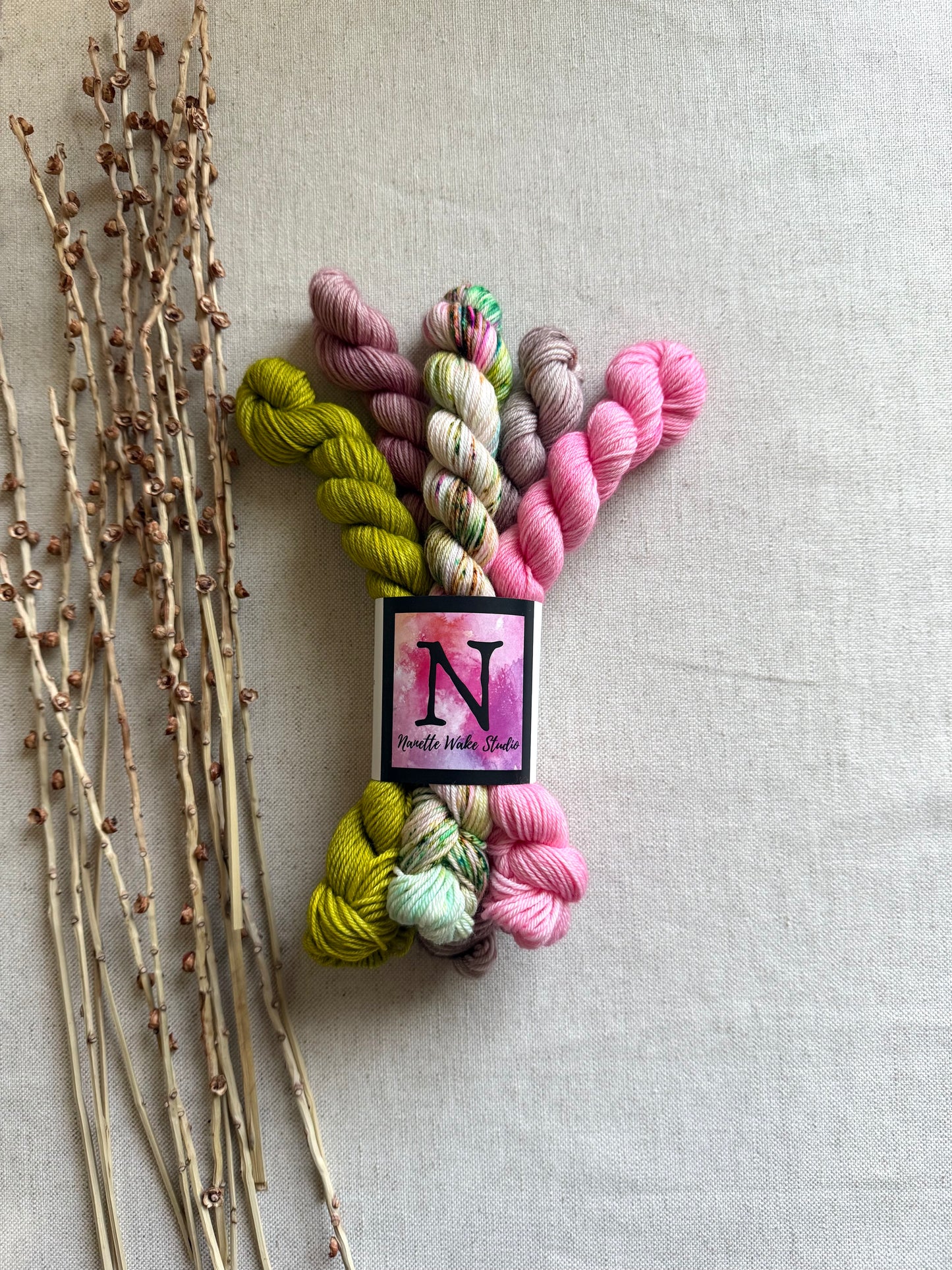 Princess Pea - SW Merino Nylon Mini Skein Set