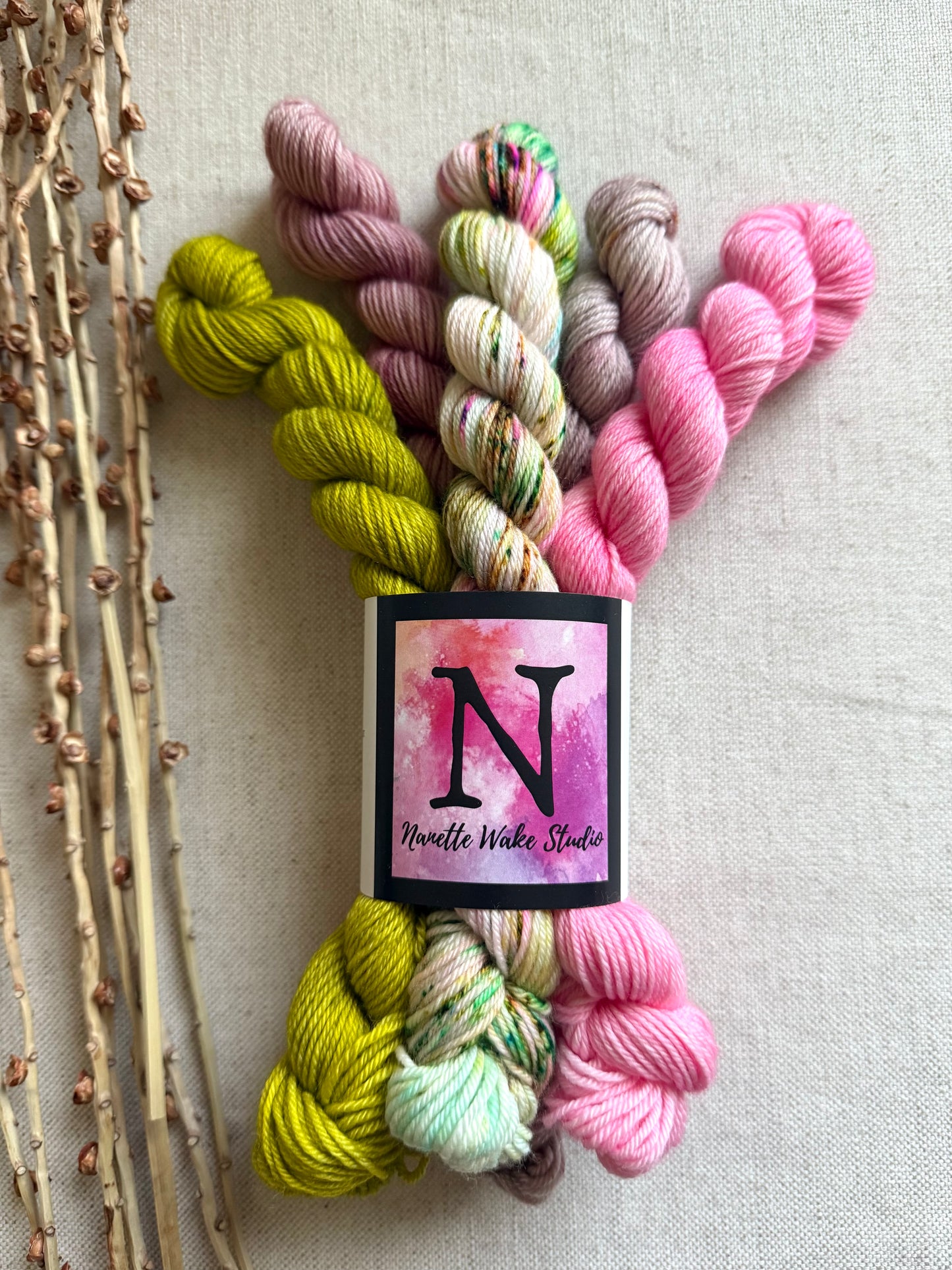 Princess Pea - SW Merino Nylon Mini Skein Set