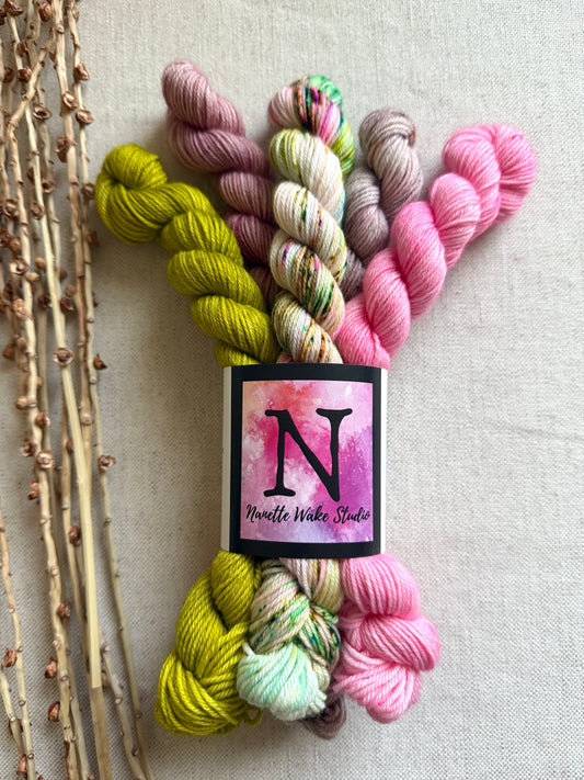Princess Pea - SW Merino Nylon Mini Skein Set