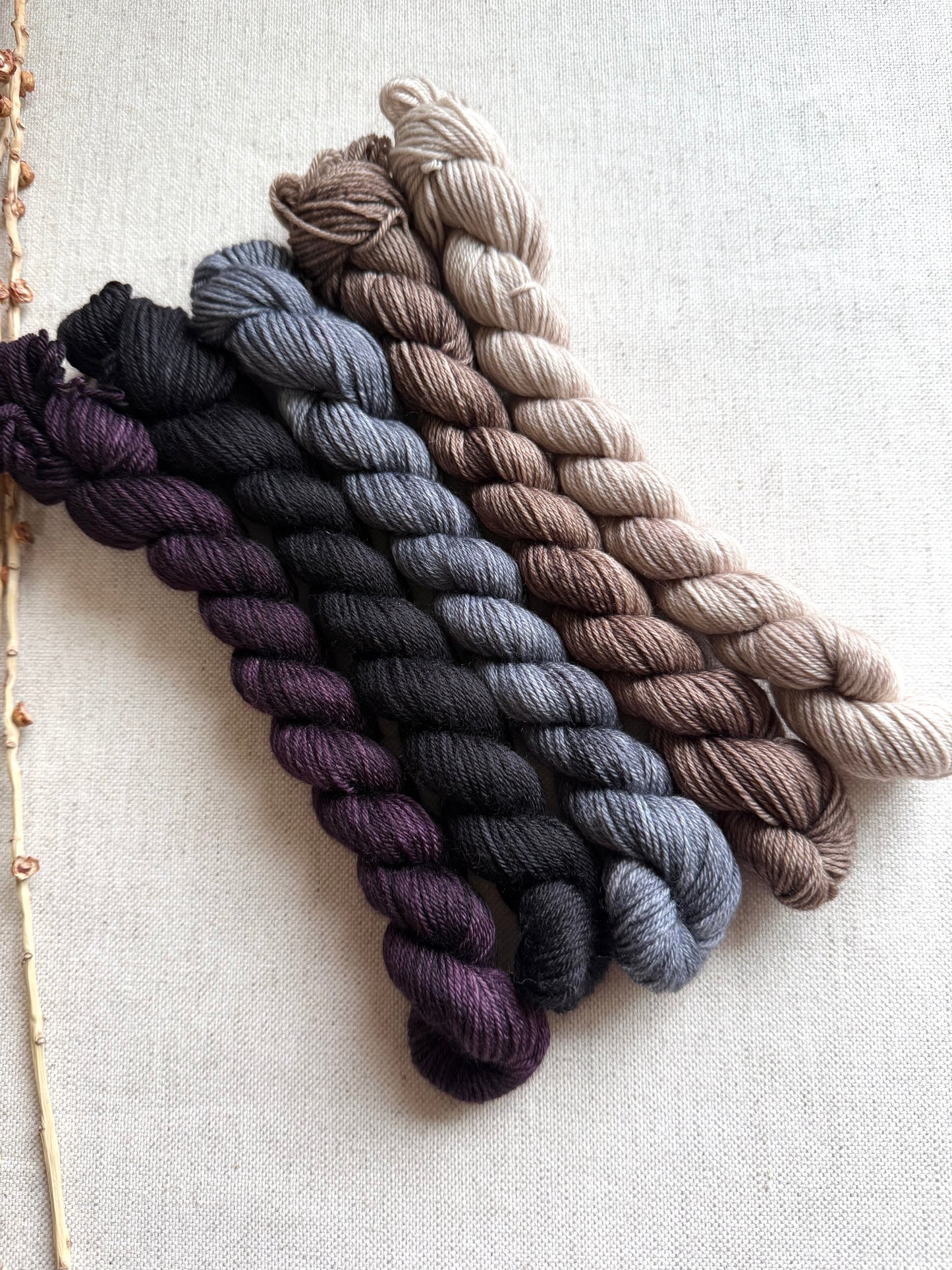 Smokey - SW Merino Nylon Mini Skein Set