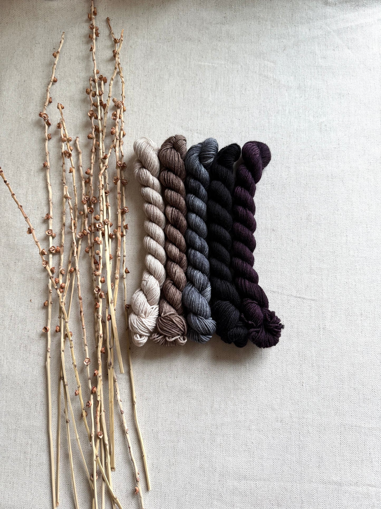 Smokey - SW Merino Nylon Mini Skein Set